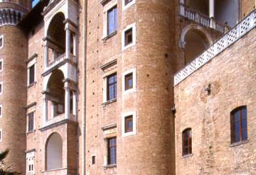 urbino_new2