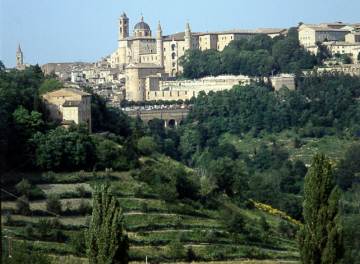 urbino_new3